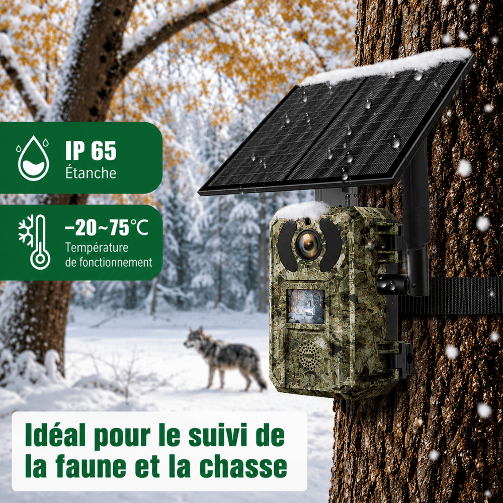 4G Wildkamera mit Solarpanel – Bedienfeld und Menü der Wildkamera