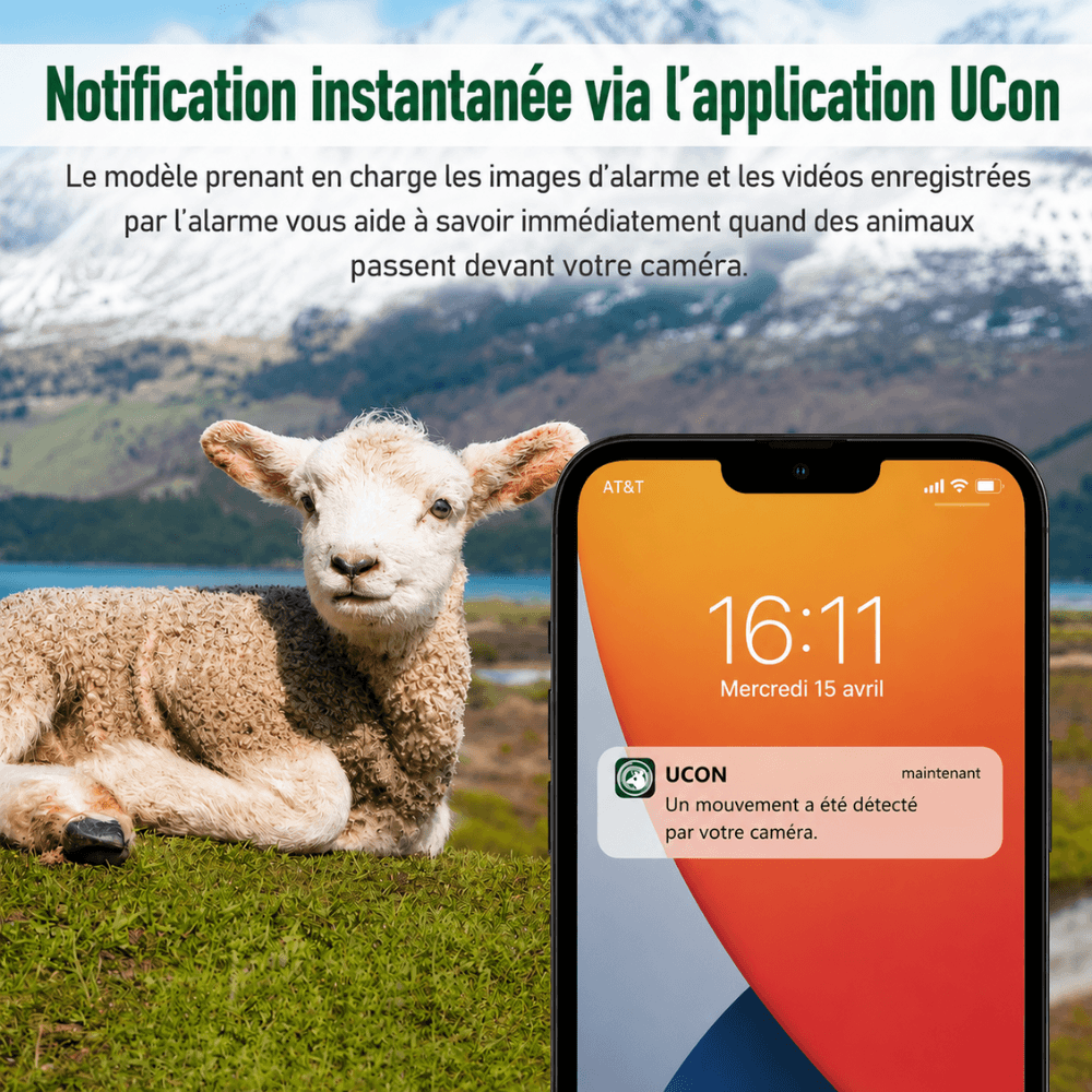 4G Wildkamera mit Solarpanel – Tagaufnahme von Wild in freier Natur