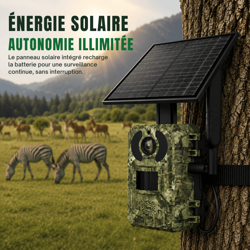 4G Wildkamera mit Solarpanel – Lieferumfang im Überblick