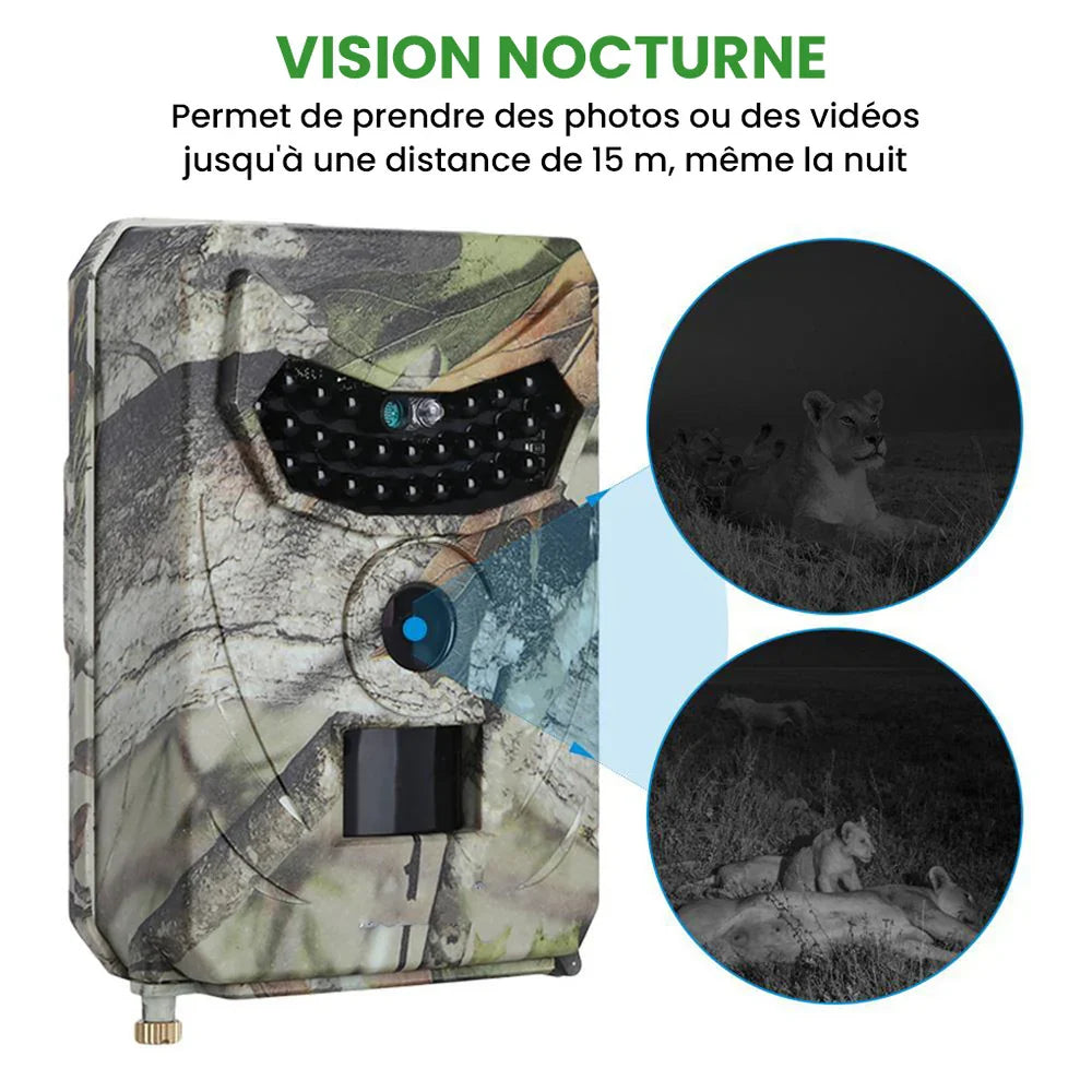 Wildkamera 12 MP – Tagaufnahme von Wild in freier Natur