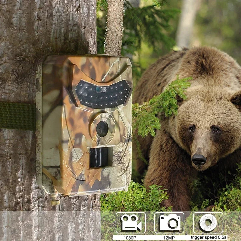 Wildkamera 12 MP – Nachtaufnahme mit Infrarot-Nachtsicht