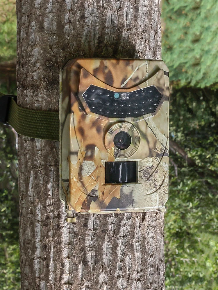 Wildkamera 12 MP – Detailansicht von Objektiv und Infrarot-LEDs