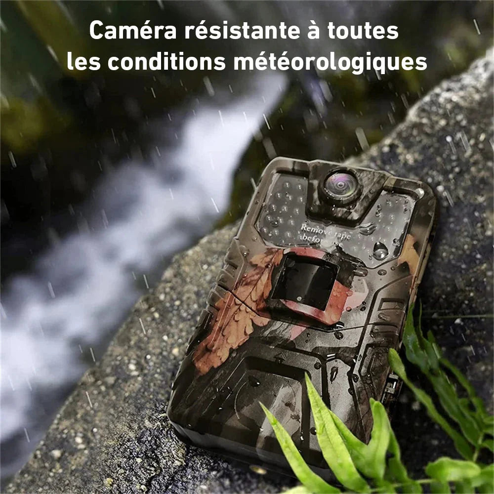 Wildkamera IP66 mit LCD-Display – Nachtaufnahme mit Infrarot-Nachtsicht