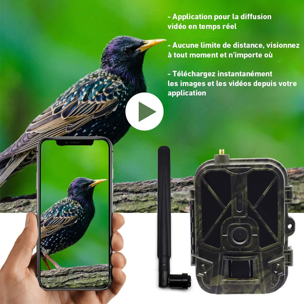 4G Wildkamera mit Langzeit-Akku – Montage am Baumstamm mit Spanngurt