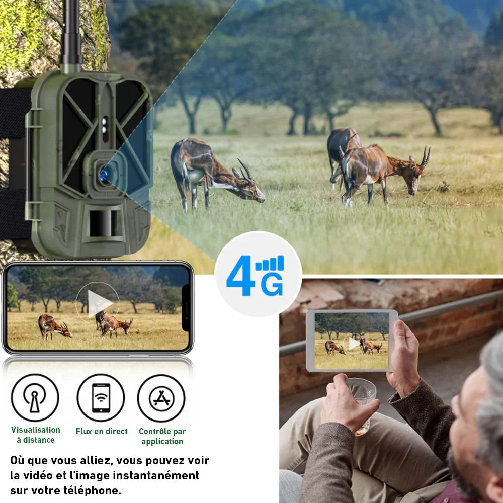 4G Wildkamera mit Langzeit-Akku – Tagaufnahme von Wild in freier Natur