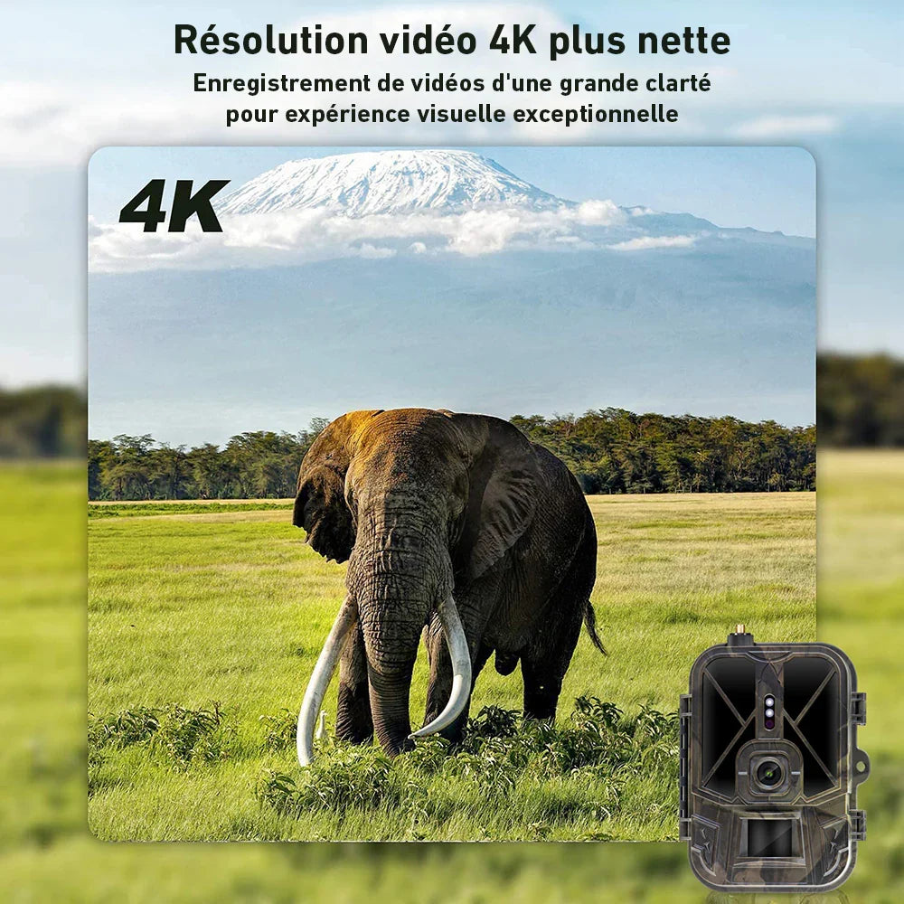4G Wildkamera mit Langzeit-Akku – Detailansicht von Objektiv und Infrarot-LEDs