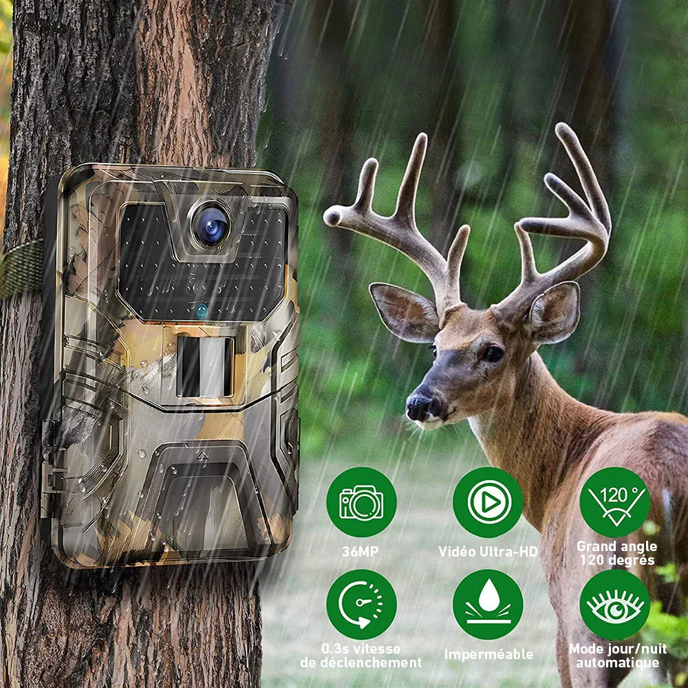Wildkamera IP66 mit LCD-Display – Bedienfeld und Menü der Wildkamera